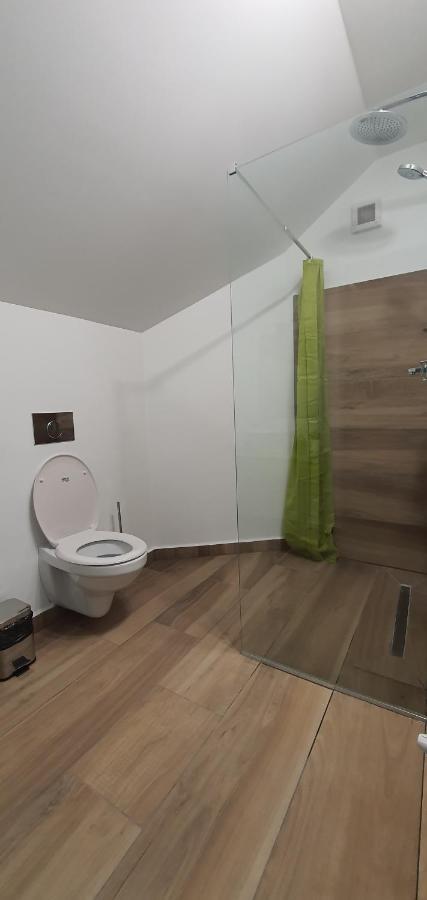 Hotel Casa Achim Baia Mare Exteriér fotografie